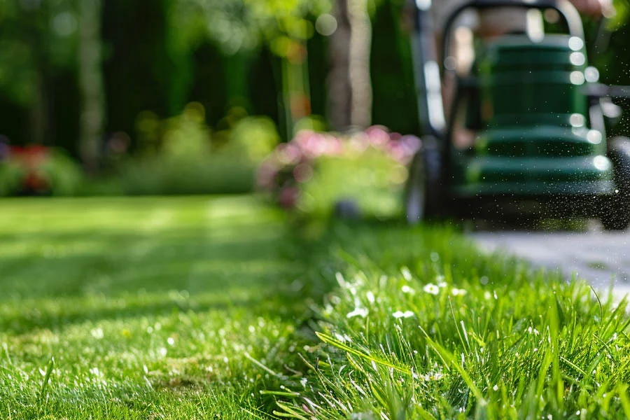 best cordless electric lawnmower